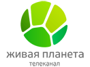 Логотип канала Zhivaya Planeta